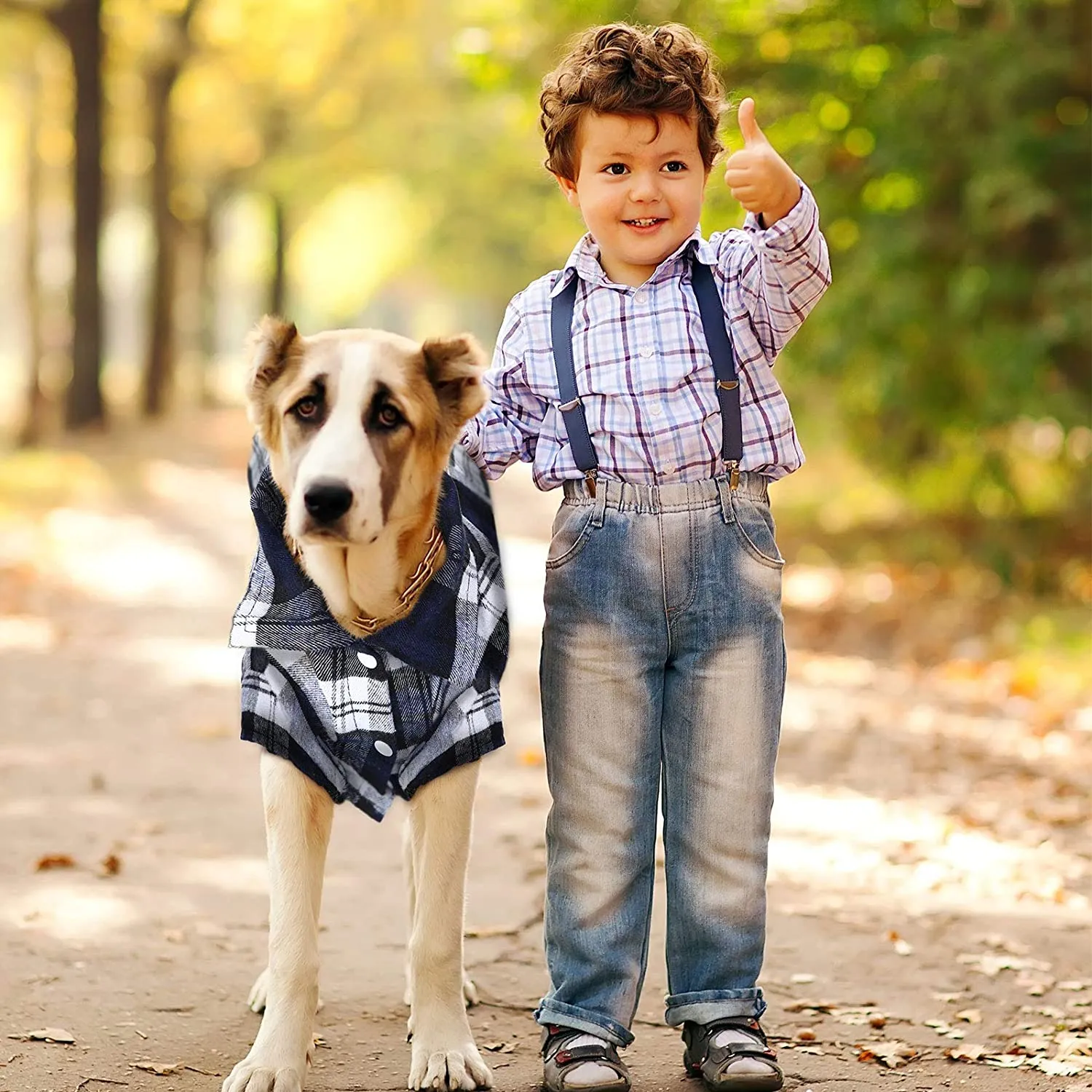 3 Piece British Style Cutoff Dog Apparel Plaid Shirt