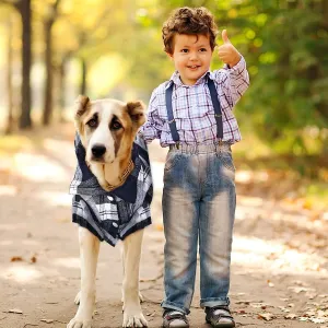 3 Piece British Style Cutoff Dog Apparel Plaid Shirt