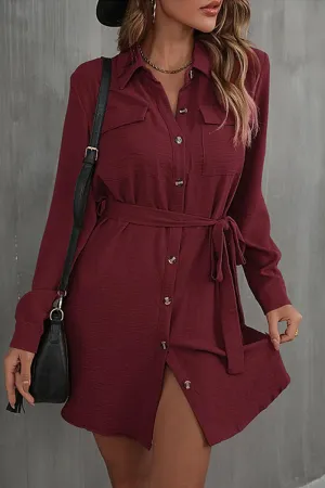 BUTTON DOWN DANDY SHIRTS DRESS Bust-Enhancing