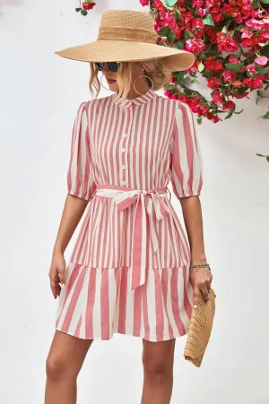 Vacation Vibes Luxury Feel BUBBLE SLEEVE STAND COLLAR DRESS_CWDSD2640