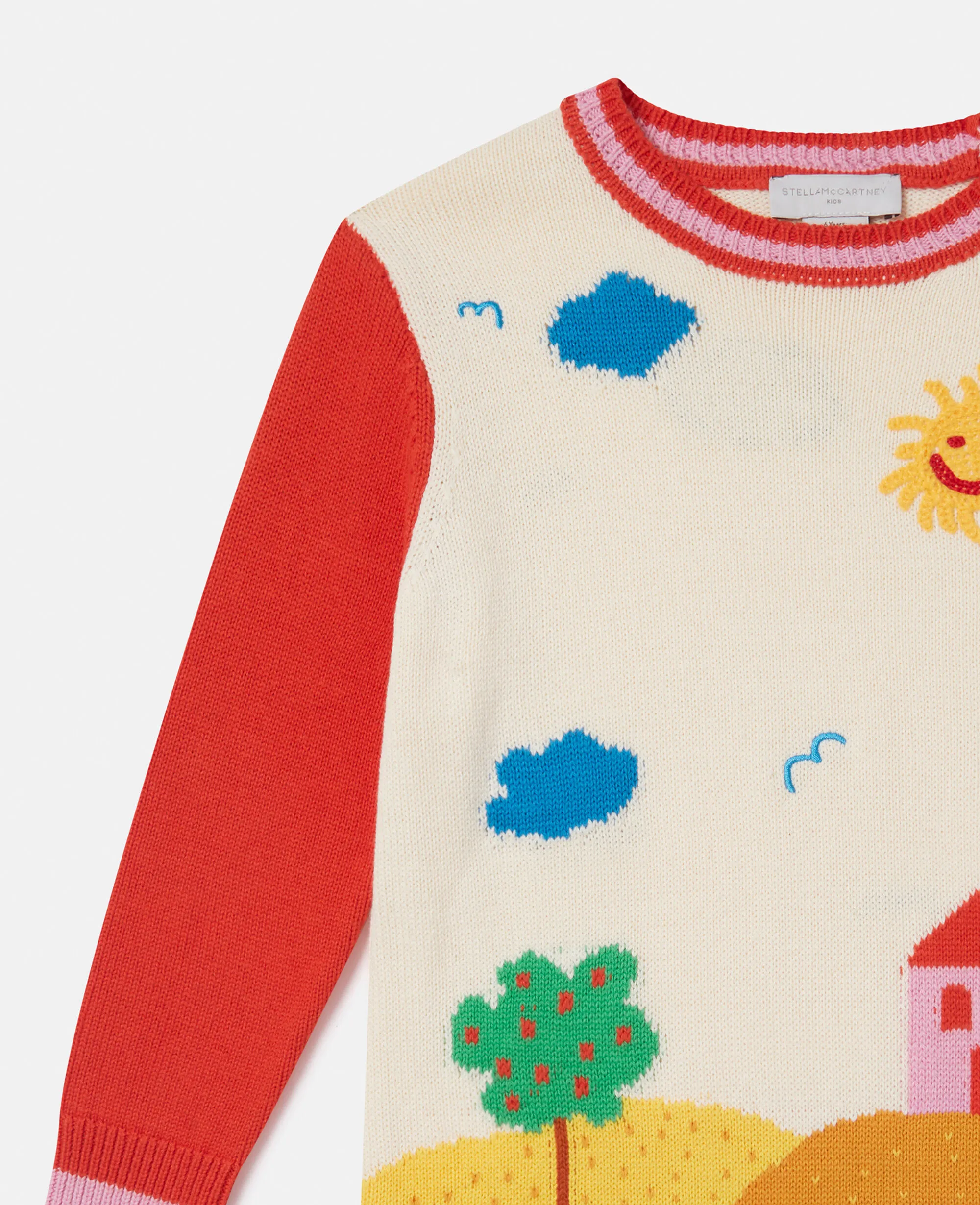 Farmyard Graphic Knitted Dress 