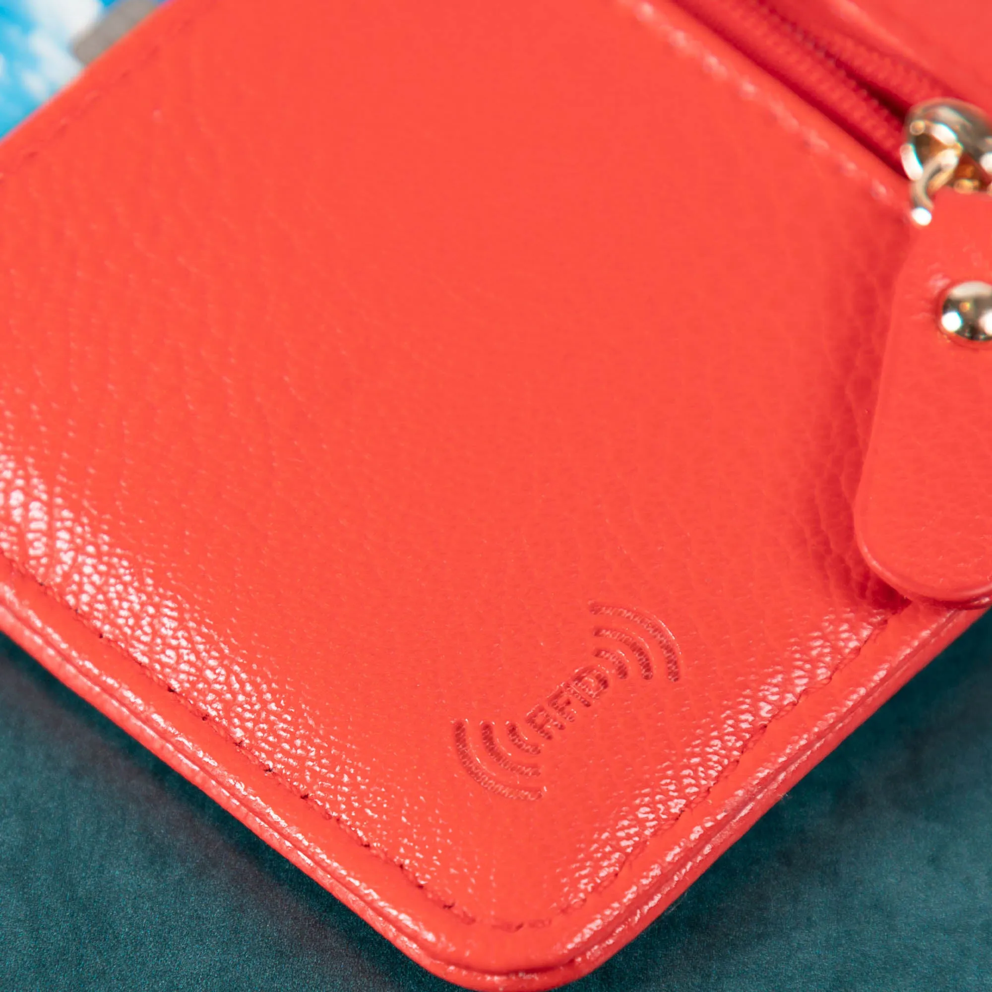 Pawfect Fit Credit Card Holder