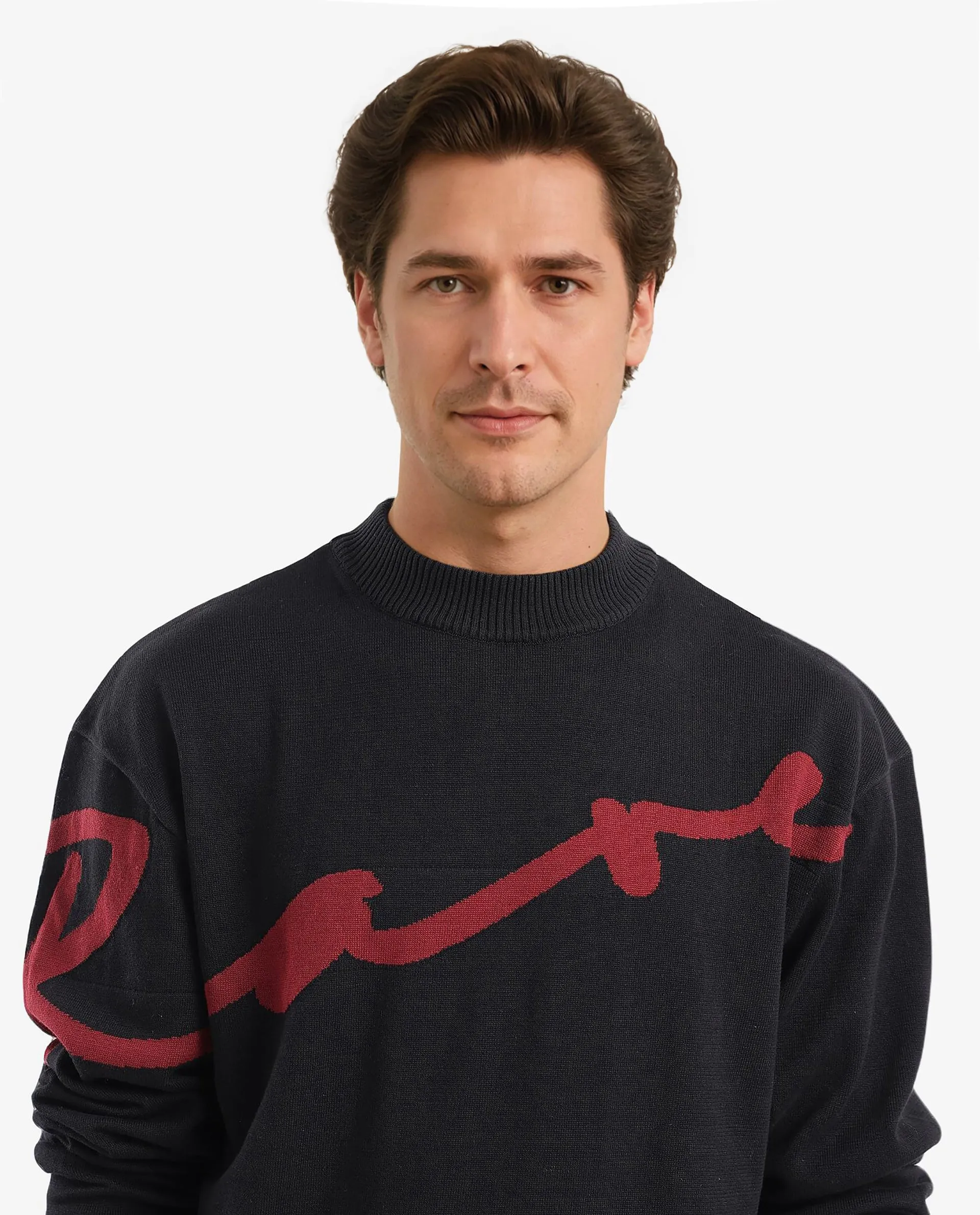 Rare Rabbit Men's Cyan Black Full Sleeve Crew Neck Regular Fit Placement Print Branded Textured Sweater