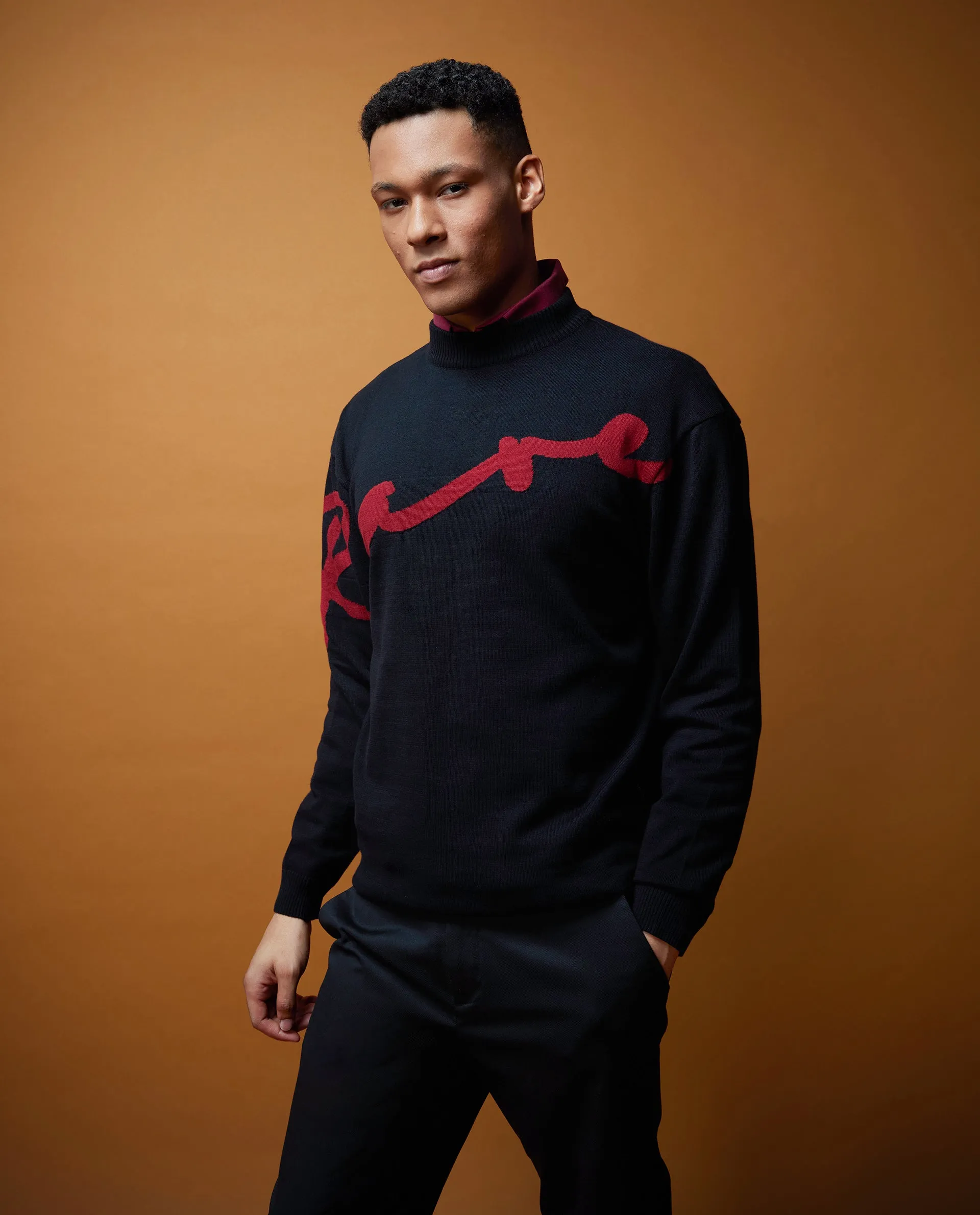 Rare Rabbit Men's Cyan Black Full Sleeve Crew Neck Regular Fit Placement Print Branded Textured Sweater