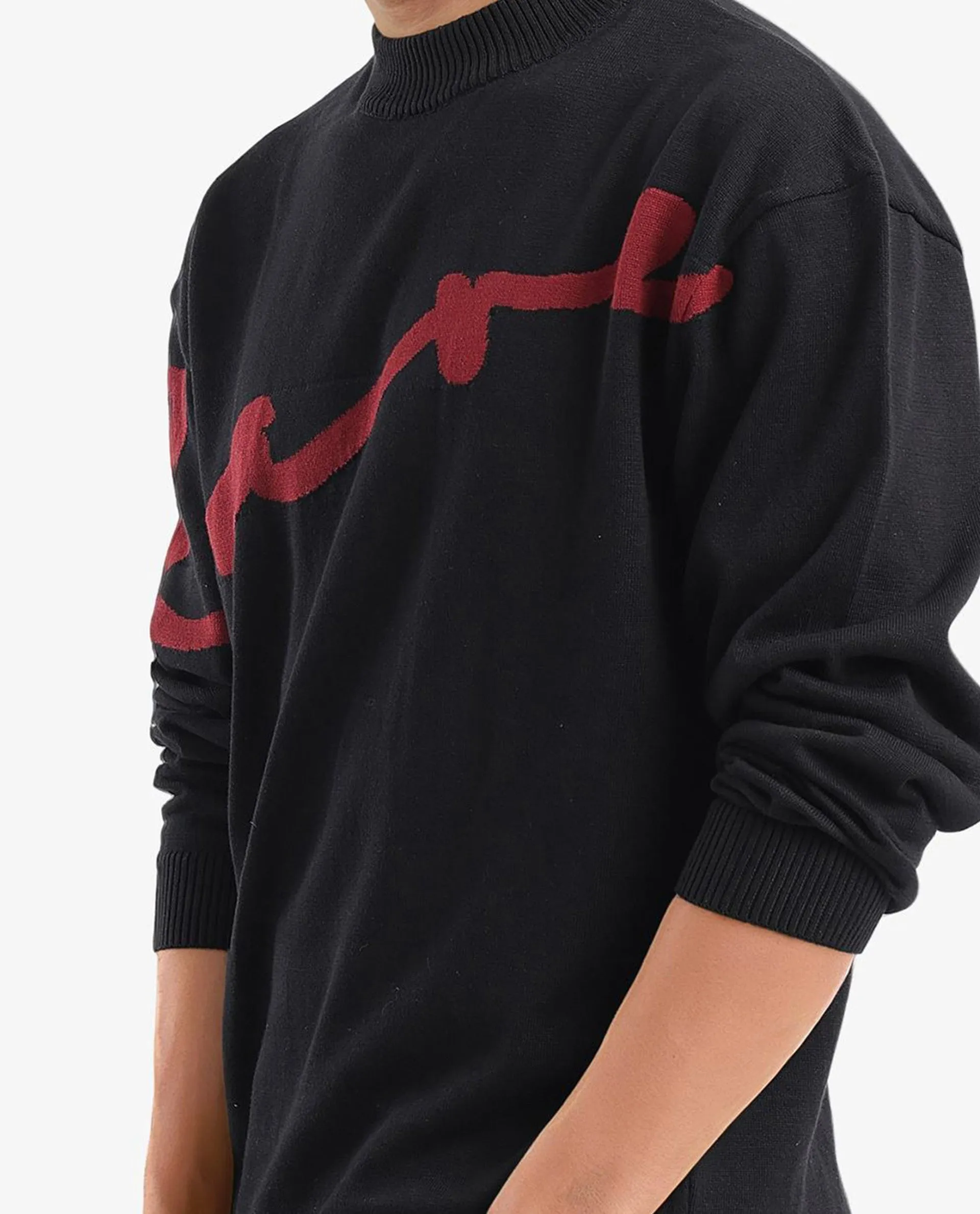 Rare Rabbit Men's Cyan Black Full Sleeve Crew Neck Regular Fit Placement Print Branded Textured Sweater
