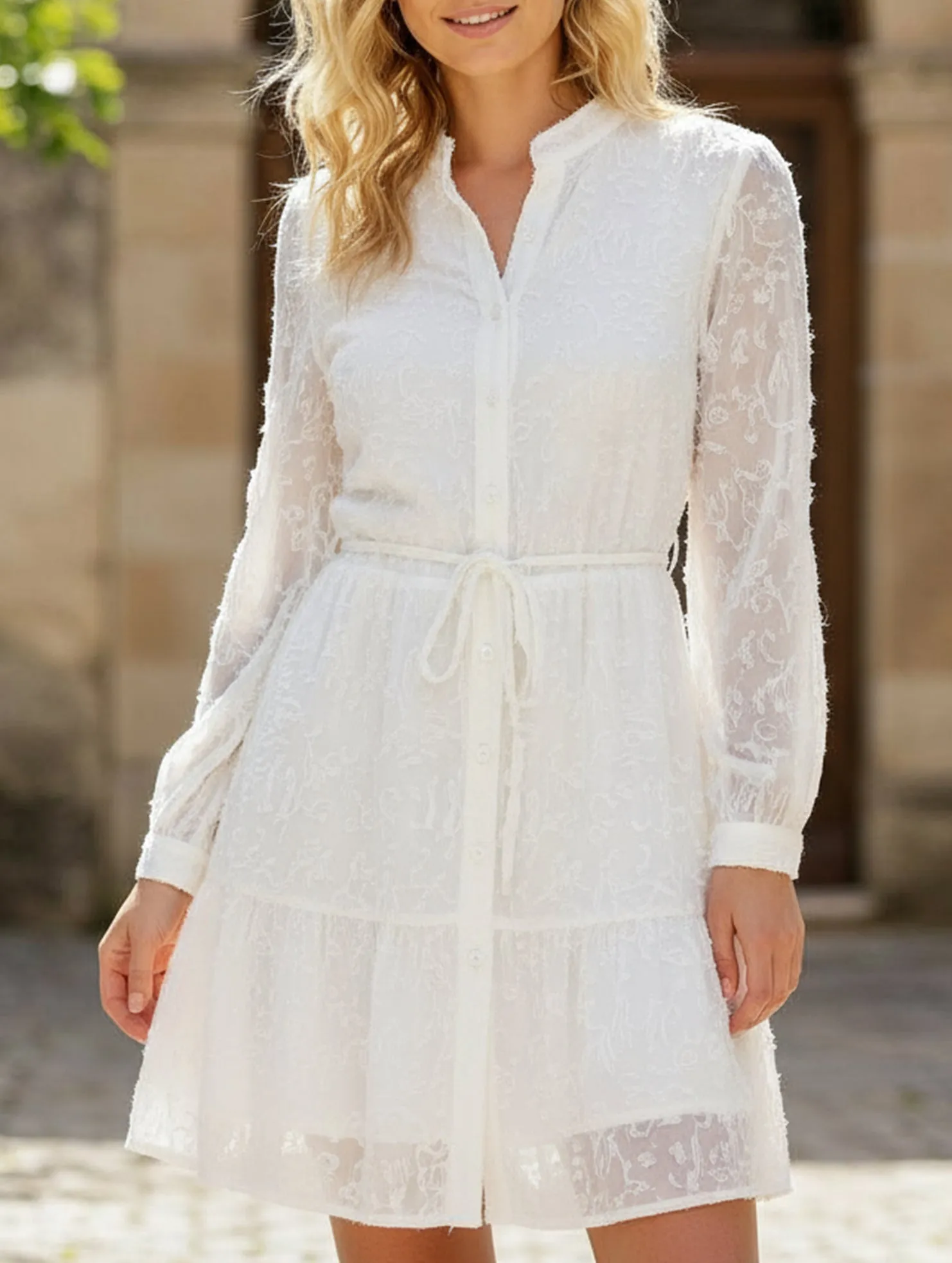 Retro style lace long sleeve puff sleeve dress Daily Silhouette Perfect Shape