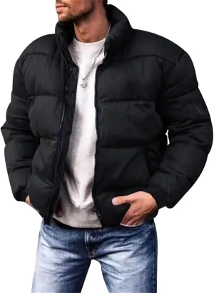 Thatrich Mens Cropped Puffer Jacket Lightweight Warm Winter Coat Puffy Slim Jacket Long Sleeve Stand Collar Outwear Down Coat